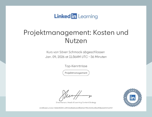 Projektmanagement Kosten und Nutzen